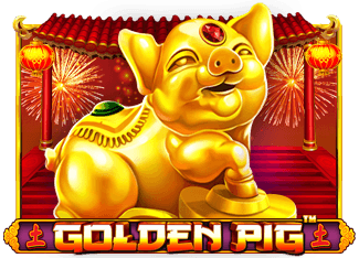 Golden Pig