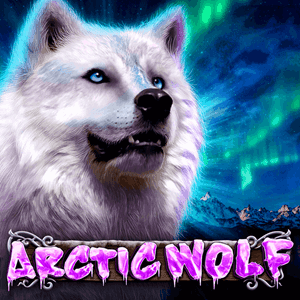 Arctic Wolf