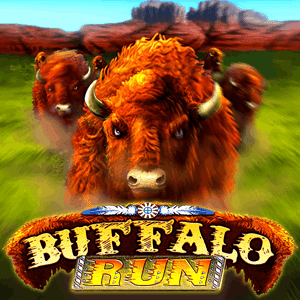 Buffalo Run