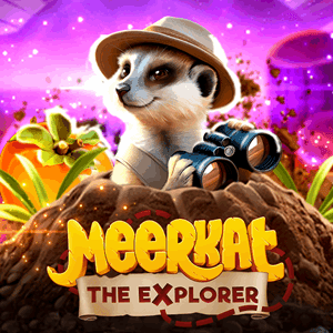 Meerkat, the explorer