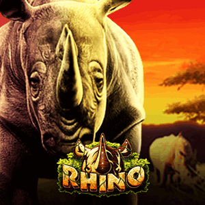 Rhino