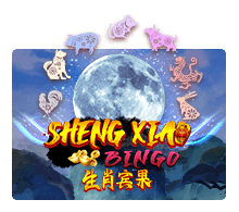 Sheng Xiao Bingo